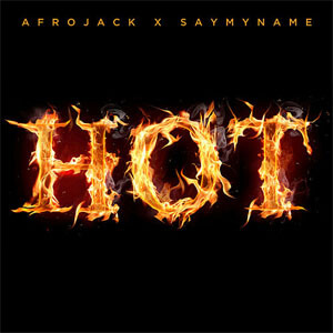 Disco Hot de Afrojack
