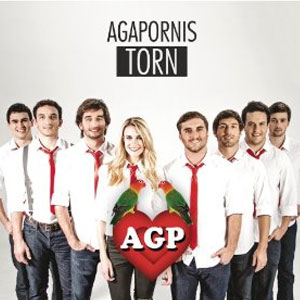 Disco Torn de Agapornis