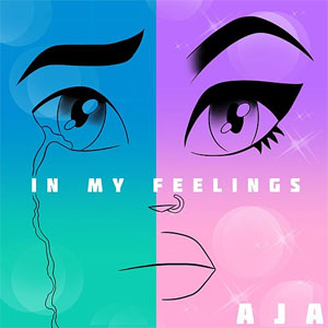 Disco In My Feelings de Aja