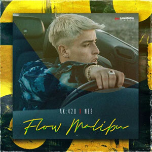 Disco Flow Malibu de AK4:20