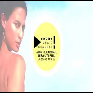 Disco Beautiful (Reggae Remix) de Akon