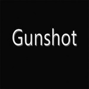 Disco Gunshot (Fiesta Riddim) de Akon