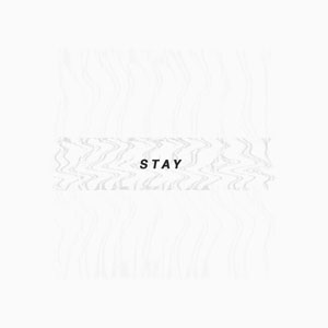 Disco Stay? de Alaina Castillo