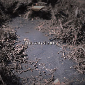 Disco Fits and Starts de Alesana