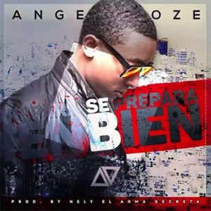 Disco Se Prepara Bien de Angel Doze