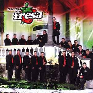 Disco 20 Éxitos de Banda Fresa Roja