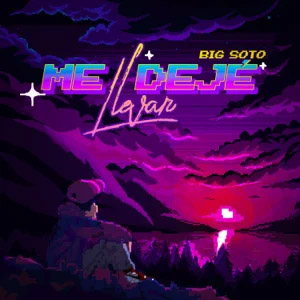 Disco Me Dejé Llevar de Big Soto