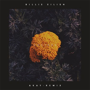 Disco Hostage (AKAY Remix) de Billie Eilish