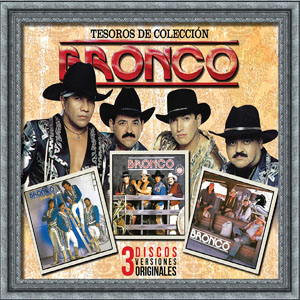 Disco Tesoros De Colección de Bronco