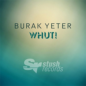 Disco Whut! de Burak Yeter