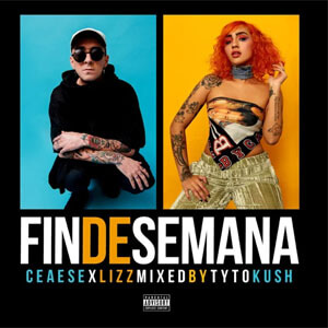 Disco Fin de Semana de Ceaese