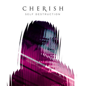 Disco Self Destruction de Cherish