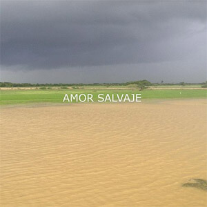 Disco Amor Salvaje de Cholo Valderrama