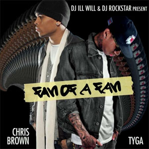Disco Fan Of  a Fan de Chris Brown