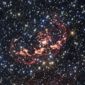 Disco Burb Baby Burn de CJ