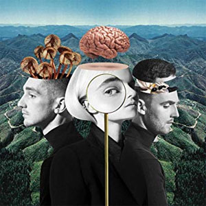 Disco What Is Love de Clean Bandit