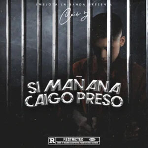 Disco Si Mañana Caigo Preso de Cris MJ