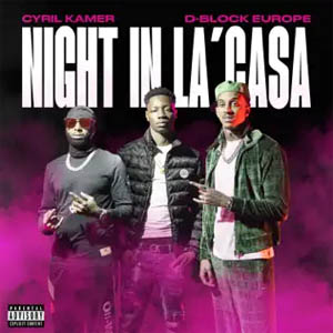 Disco Night de Cyril Kamer