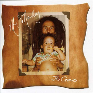 Disco Mr. Marley de Damian Marley