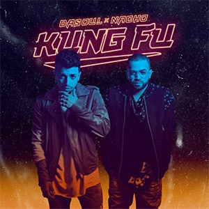 Disco Kung Fu de Dasoul