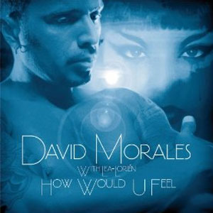 Disco How Would U Feel de David Morales