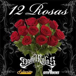 Disco 12 Rosas de David Rolas
