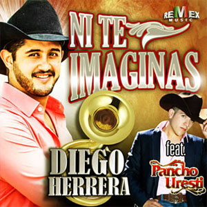 Disco Ni Te Imaginas de Diego Herrera