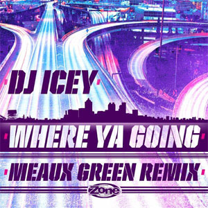 Disco Where Ya Going de DJ Icey