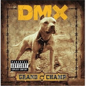 Disco Grand Champ de DMX