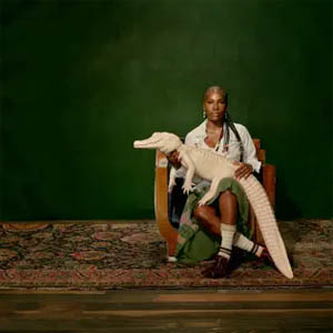 Disco Alligator Bites Never Heal de Doechii