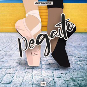 Disco Pegaíto de Don Miguelo