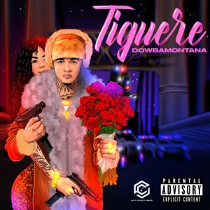 Disco Tiguere de Dowba Montana