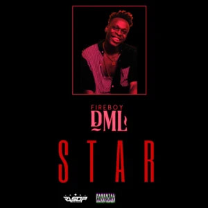 Disco Star de Fireboy DML