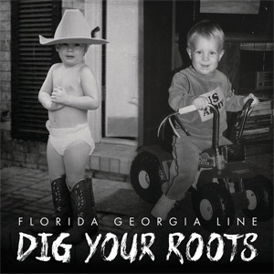 Disco Dig Your Roots de Florida Georgia Line
