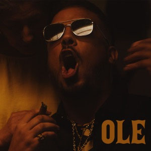 Disco Ole  de Foyone