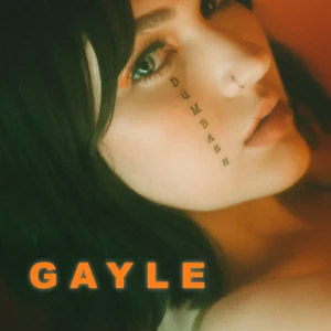 Disco Dumbass de Gayle