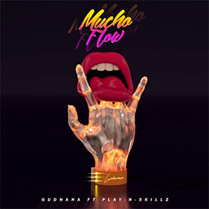 Disco Mucho Flow de Gudnana