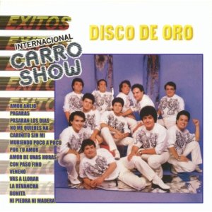 Disco Disco De Oro de Internacional Carro Show