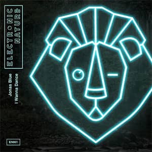 Disco I Wanna Dance de Jonas Blue