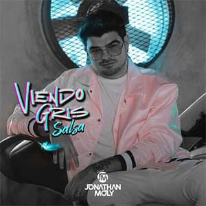 Disco Viendo Gris de Jonathan Moly
