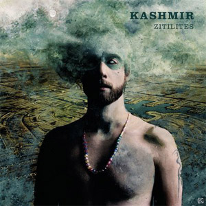 Disco Zitilites de Kashmir