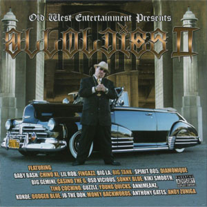 Disco All Oldies II de Frost