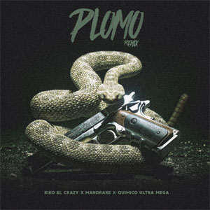 Disco Plomo (Remix) de Kiko El Crazy