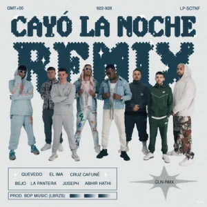 Disco Cayó La Noche de La Pantera