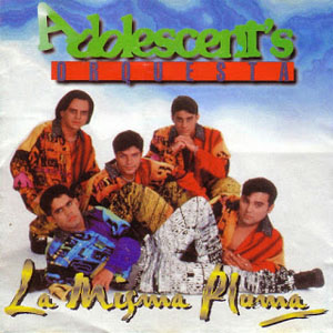 Disco La Misma Pluma de Los Adolescentes