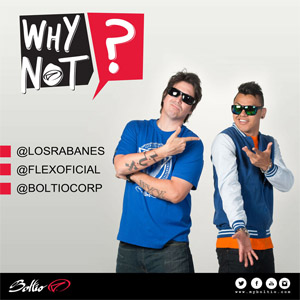 Disco Why Not de Los Rabanes