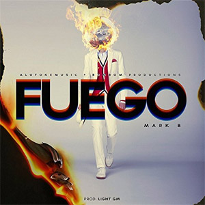 Disco Fuego de Mark B