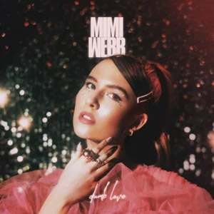 Disco Dumb Love de Mimi Webb