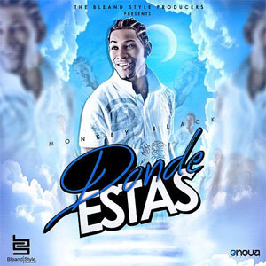 Disco Dónde Estás de Monkey Black