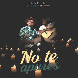 Disco No Te Apures (Remix) de Nanpa Básico